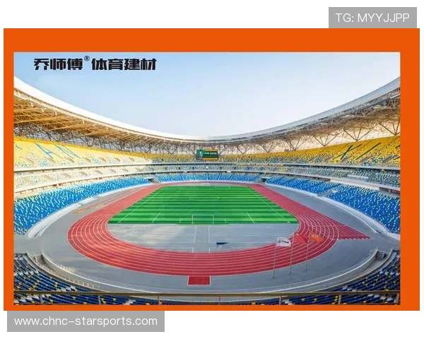 球场翻修项目吸引社会资本参与竞标